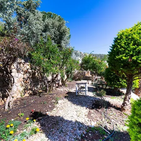Mira Kalkan -close To Center- 빌라 카스