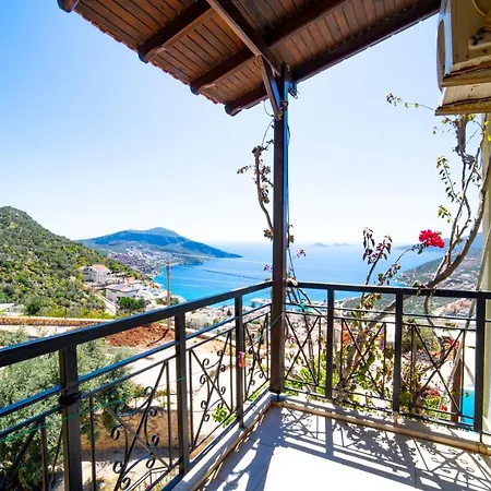Mira Kalkan
