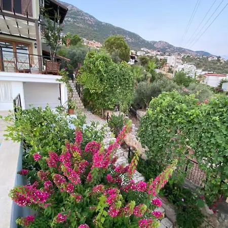 Mira Kalkan -close To Center- 카스